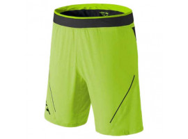Dynafit Alpine Pro 2in1 Shorts / green